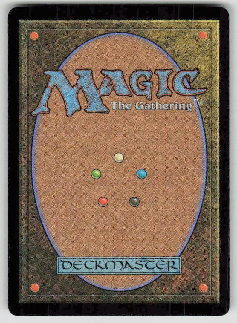2023 Wilds of Eldraine 31 Spellbook Vendor
