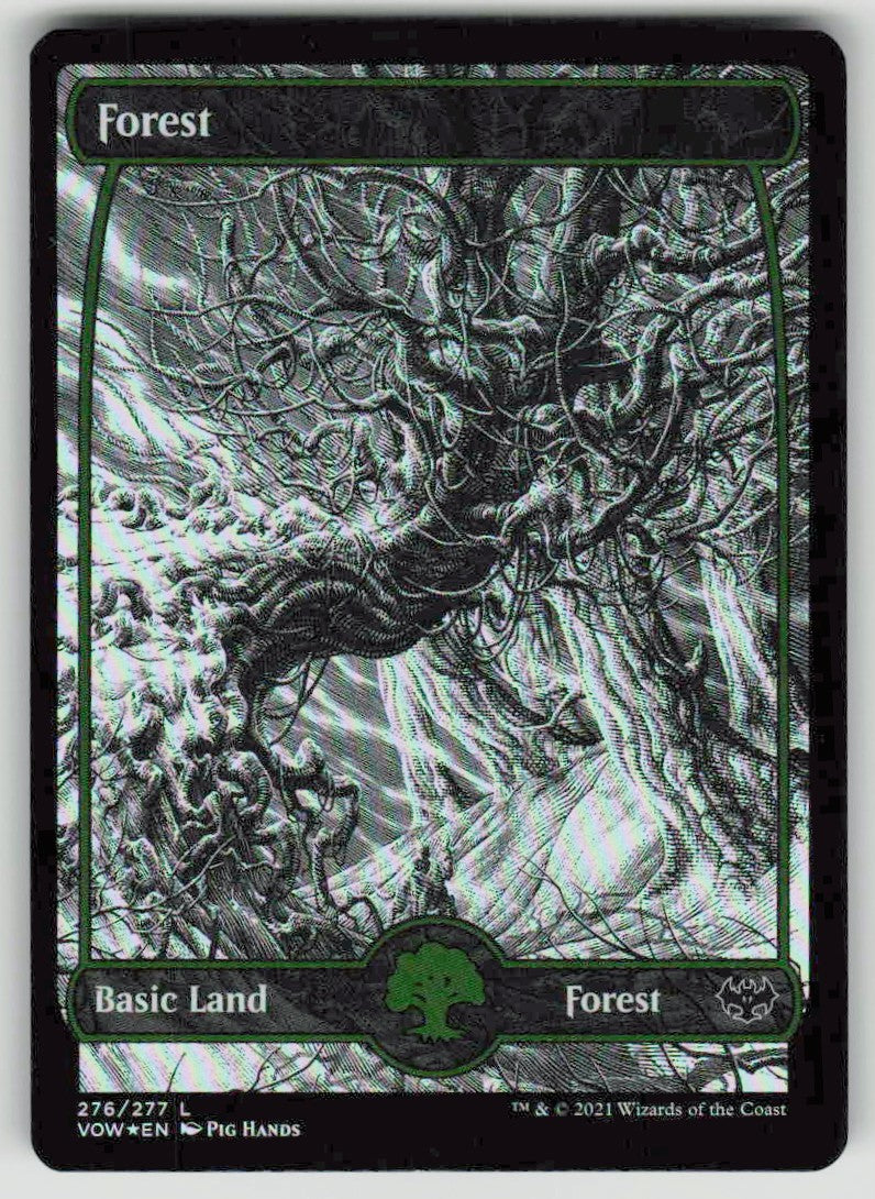 2021 Innistrad: Midnight Hunt 276 Forest