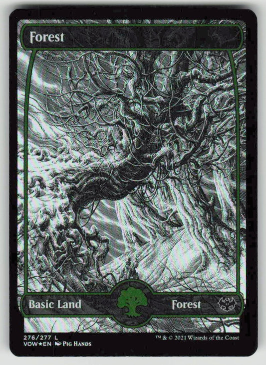 2021 Innistrad: Midnight Hunt 276 Forest