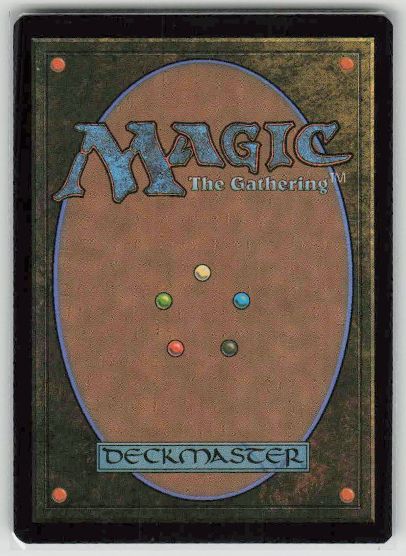2025 Tarkir: Dragonstorm 276 Forest